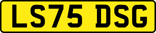 LS75DSG