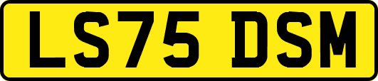 LS75DSM