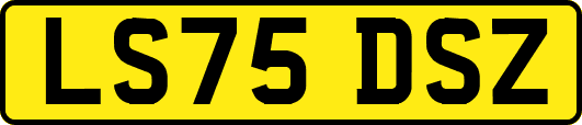 LS75DSZ