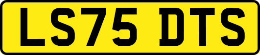 LS75DTS