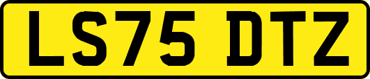 LS75DTZ