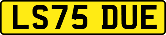 LS75DUE