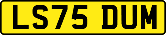 LS75DUM