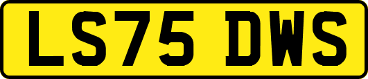 LS75DWS