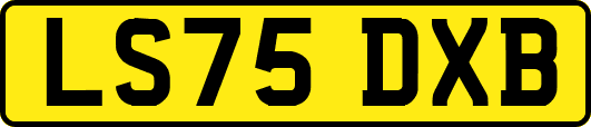 LS75DXB
