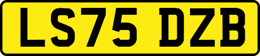 LS75DZB