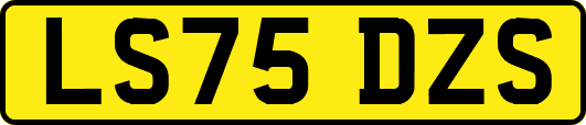 LS75DZS