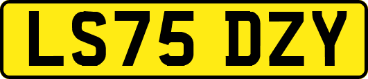 LS75DZY