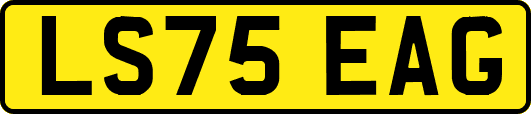 LS75EAG