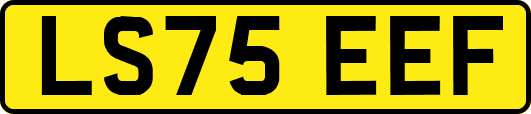 LS75EEF