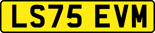 LS75EVM