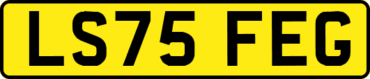 LS75FEG