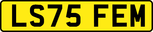 LS75FEM