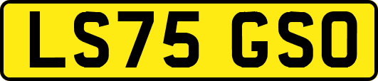 LS75GSO