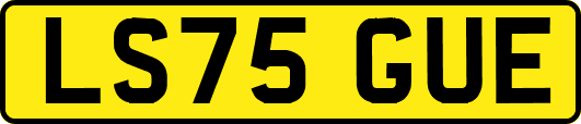 LS75GUE