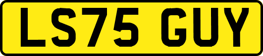 LS75GUY