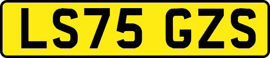 LS75GZS