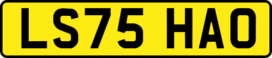 LS75HAO