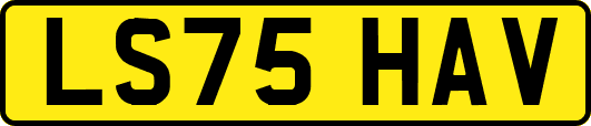 LS75HAV