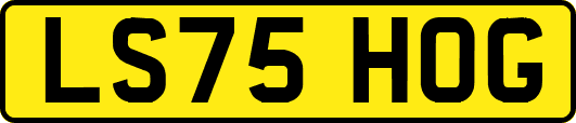 LS75HOG
