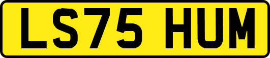 LS75HUM