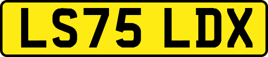LS75LDX