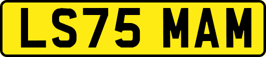 LS75MAM