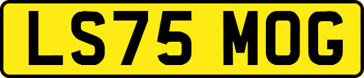 LS75MOG