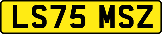 LS75MSZ