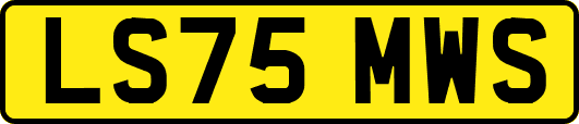 LS75MWS