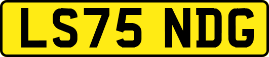 LS75NDG