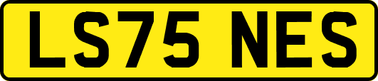 LS75NES