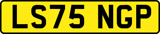LS75NGP