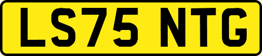 LS75NTG