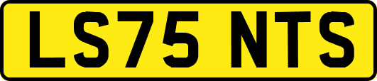 LS75NTS