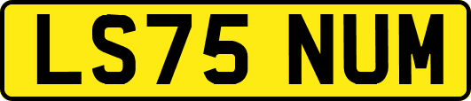 LS75NUM
