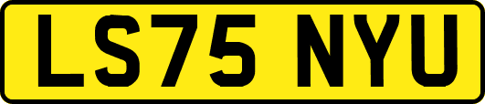 LS75NYU