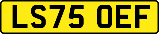 LS75OEF