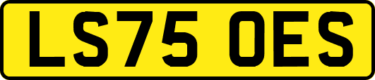LS75OES