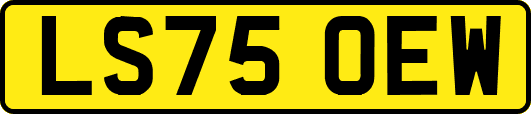 LS75OEW