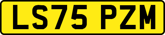 LS75PZM
