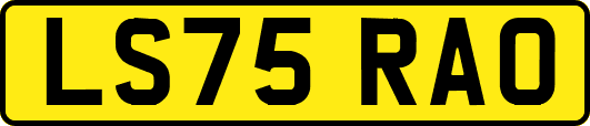 LS75RAO