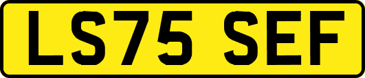 LS75SEF