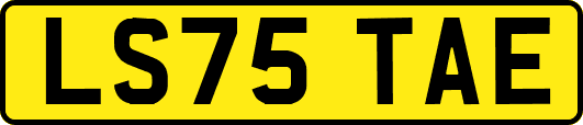 LS75TAE