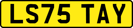 LS75TAY