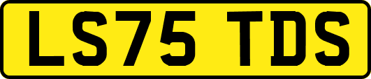 LS75TDS