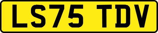 LS75TDV