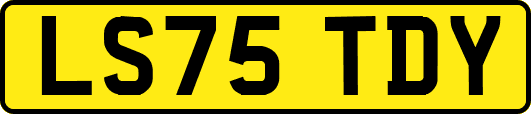 LS75TDY