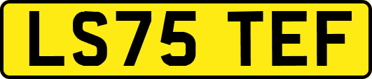 LS75TEF