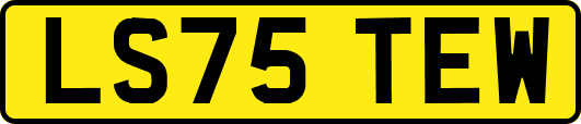 LS75TEW